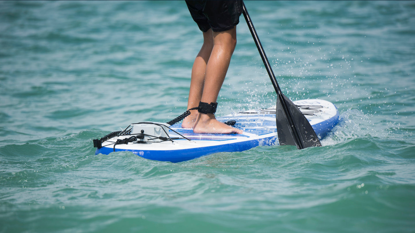 EPropulsion Vaquita