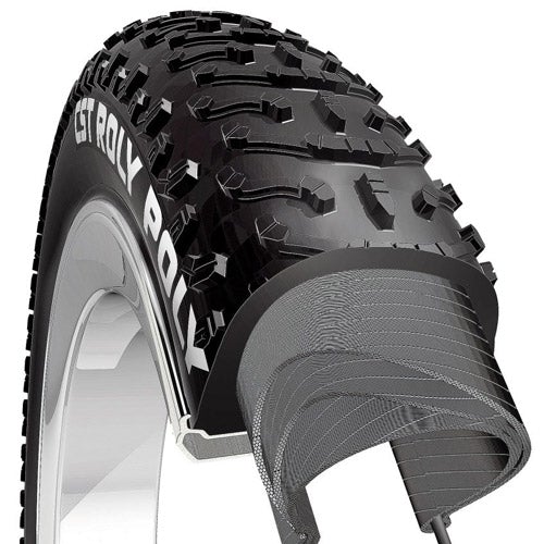 Roly Poly Fat E-Bike Tires